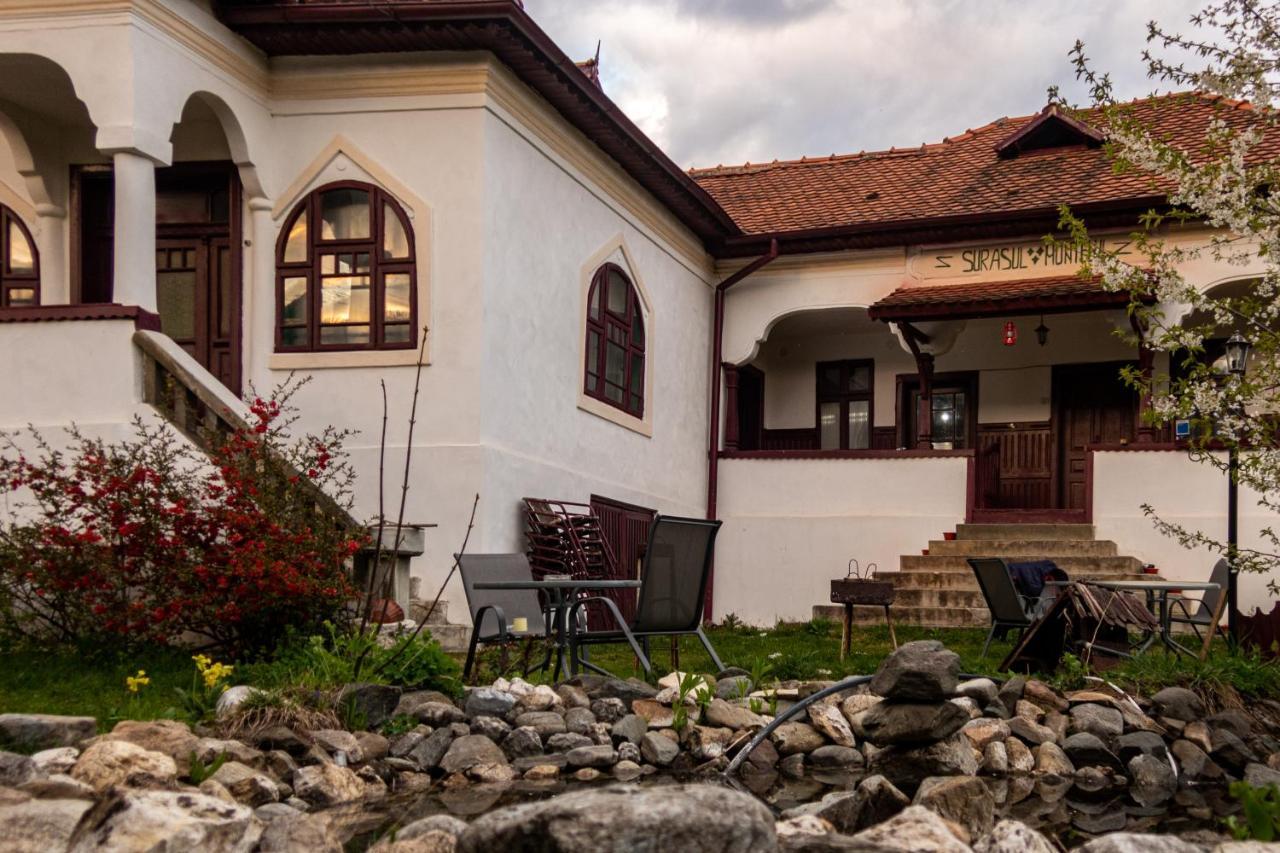 Surasul Muntelui Apartment Dragoslavele Bagian luar foto