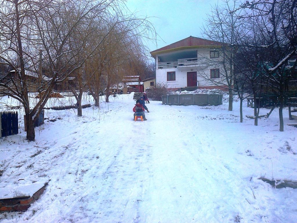 Surasul Muntelui Apartment Dragoslavele Bagian luar foto