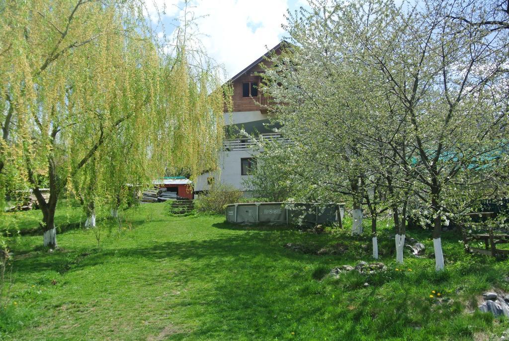 Surasul Muntelui Apartment Dragoslavele Bagian luar foto
