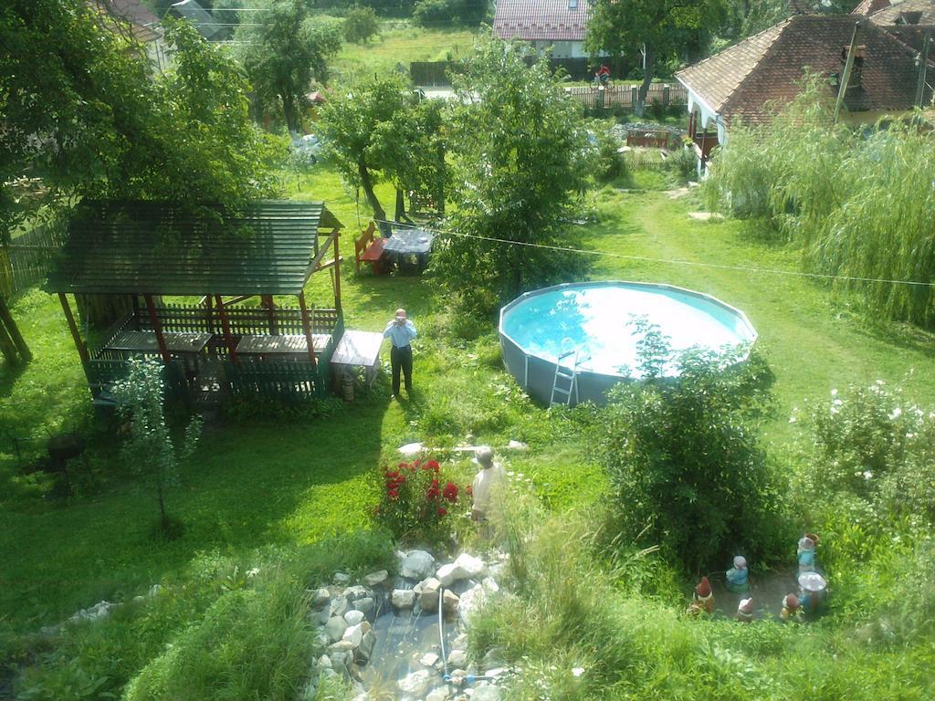 Surasul Muntelui Apartment Dragoslavele Bagian luar foto