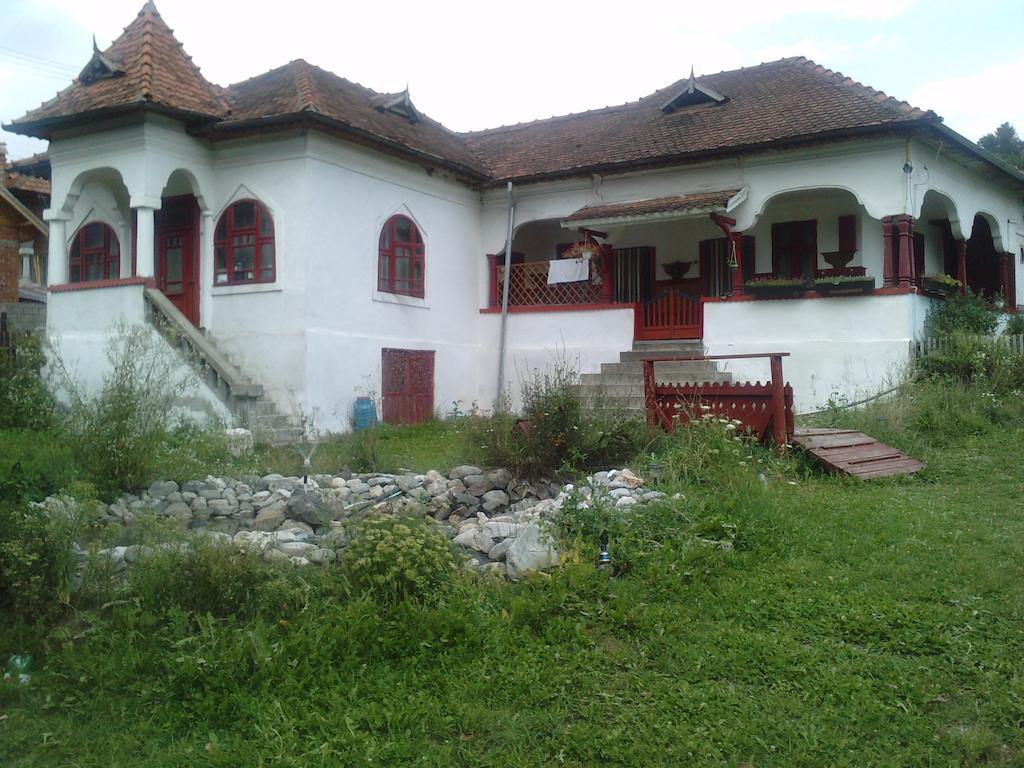 Surasul Muntelui Apartment Dragoslavele Bagian luar foto
