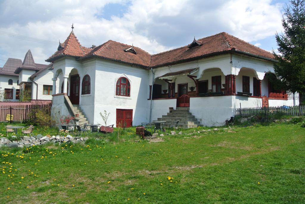 Surasul Muntelui Apartment Dragoslavele Bagian luar foto