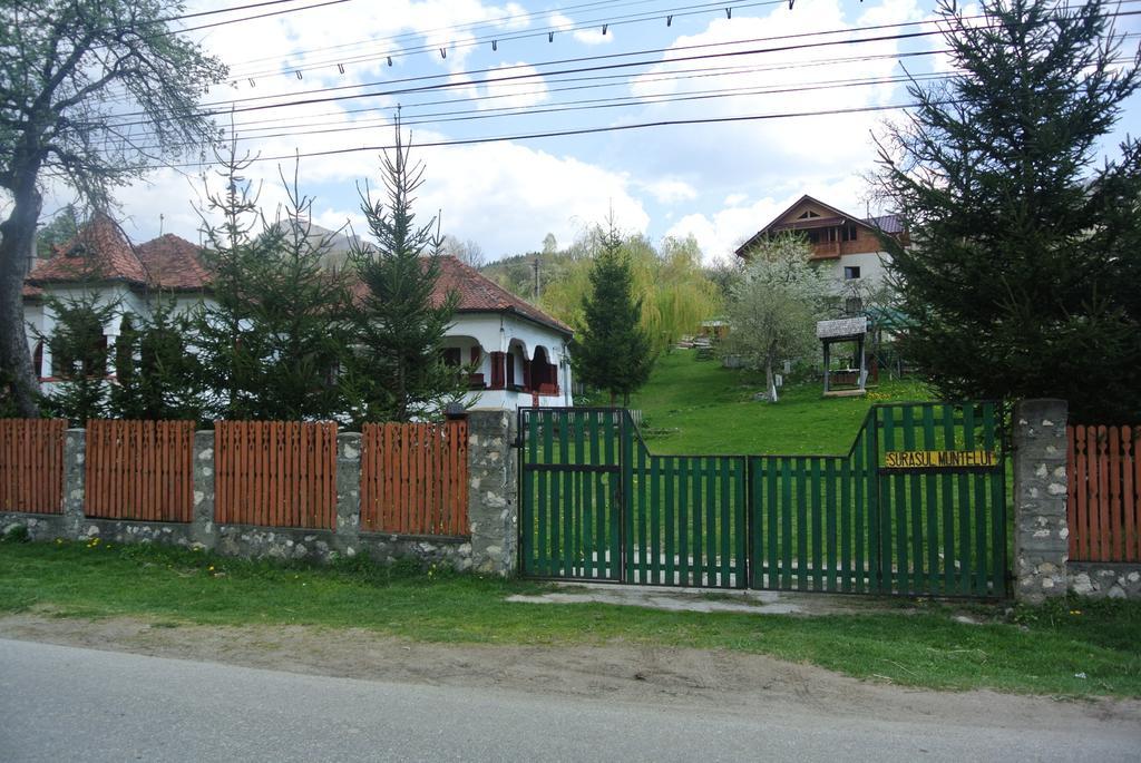 Surasul Muntelui Apartment Dragoslavele Bagian luar foto
