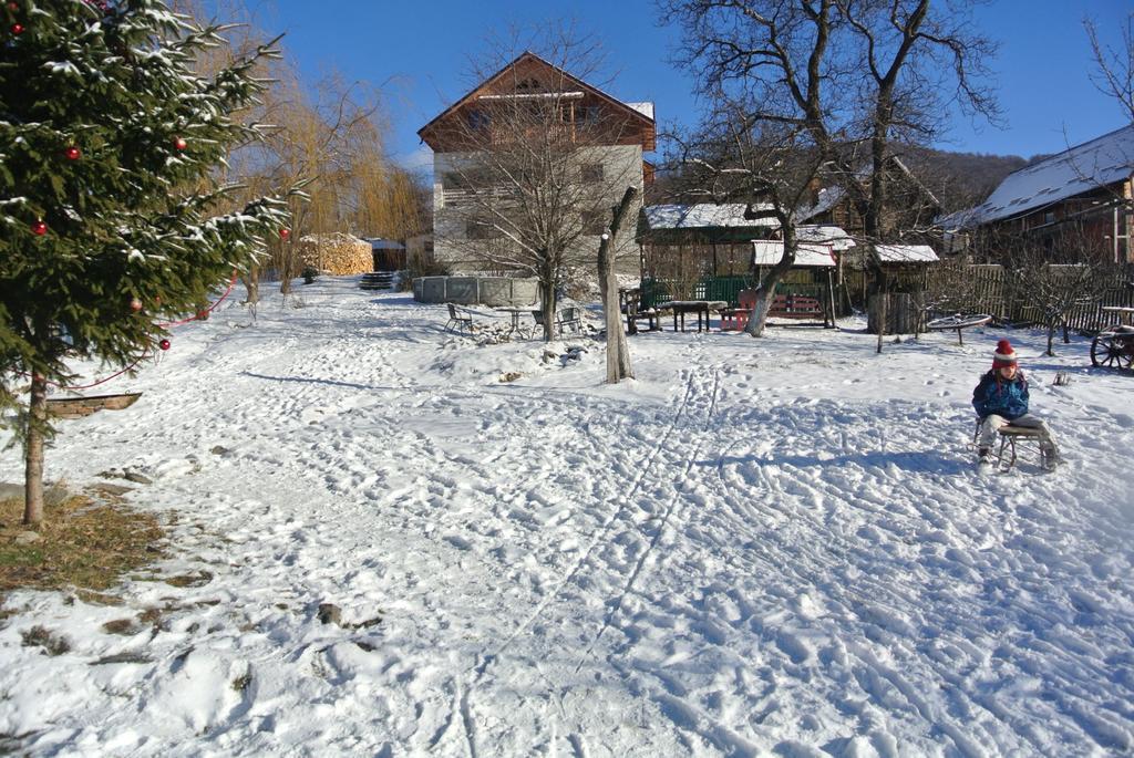 Surasul Muntelui Apartment Dragoslavele Bagian luar foto