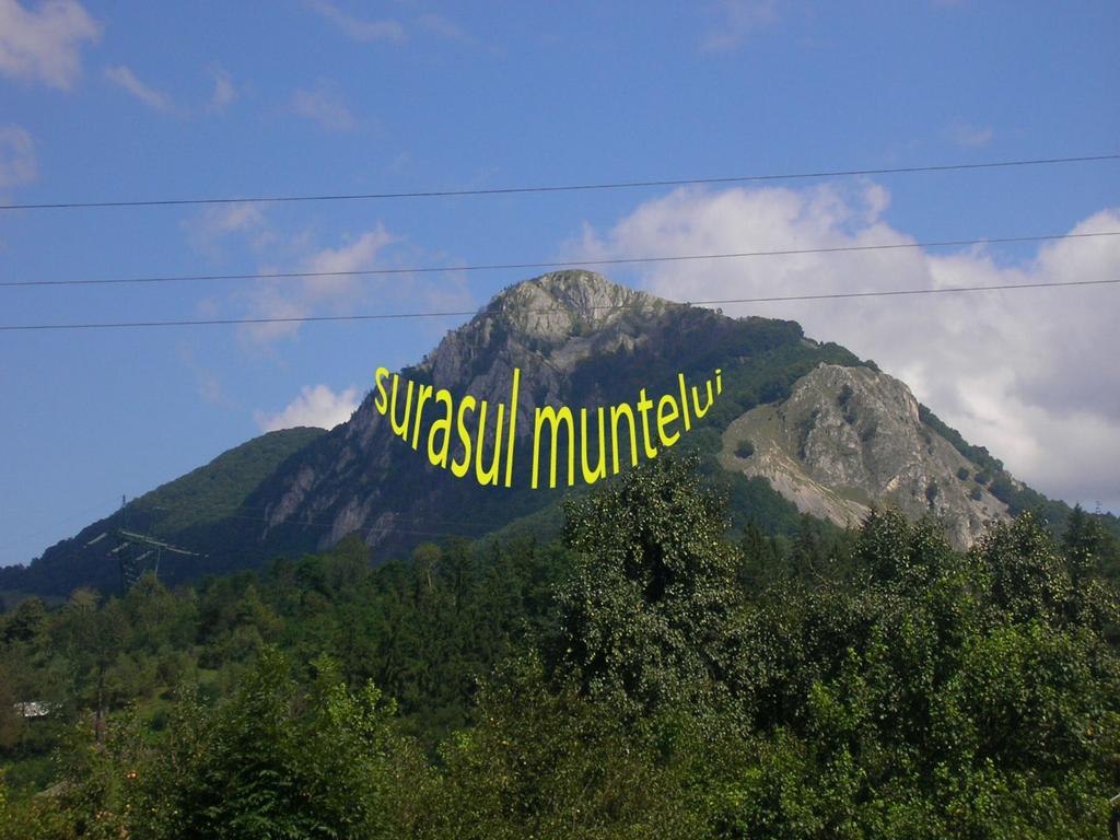 Surasul Muntelui Apartment Dragoslavele Bagian luar foto